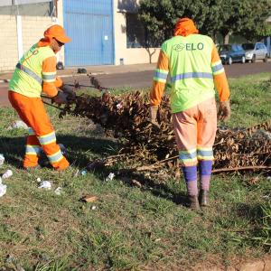 Imagem da notícia Prefeitura de Jahu: arrastões de limpeza aos sábados - FOTOS