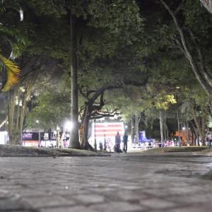 Imagem da notícia NATAL: Tributo a Milton Nascimento com Lê Ferreira e Casinha do Papai Noel - FOTOS