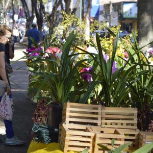 Imagem da notícia NATAL: Tributo a Milton Nascimento com Lê Ferreira e Casinha do Papai Noel - FOTOS