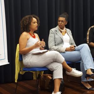 Imagem da notícia Secretaria de Políticas Públicas para Mulheres: evento no Dia da Mulher Negra Latino-Americana e Caribenha - FOTOS