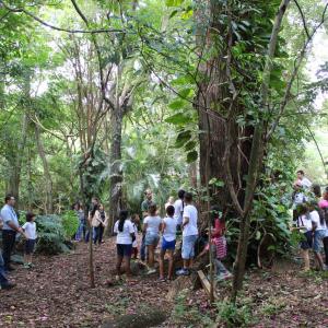 Imagem da notícia Centro de Educação Ambiental - Horto Florestal Municipal realiza visita agendada