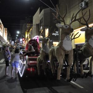 Imagem da notícia NATAL: Show de Viola e Cantoria, com Rodrigo Zanc e Casinha do Papai Noel