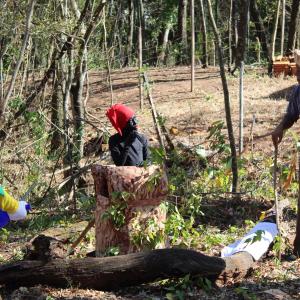 Imagem da notícia 11º Festival Caipira do Pouso Alegre: Trilha - Caça ao Saci
