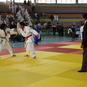 Imagem da notícia Jahu será sede do Campeonato Estadual do Interior de Judô - FOTOS