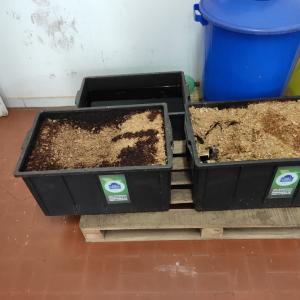 Imagem da notícia   Projeto piloto de compostagem é realizado pela Secretaria de Meio Ambiente