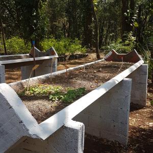 Imagem da notícia Horto Florestal Municipal: produção ativa de mudas para doação