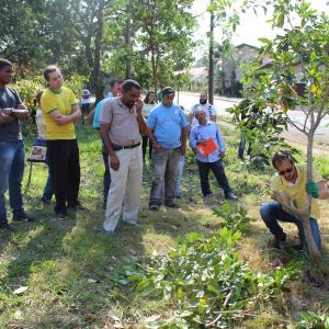 Imagem da notícia Secretaria de Meio Ambiente oferece Curso de Formação de Podadores - FOTOS