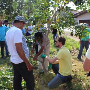 Imagem da notícia Secretaria de Meio Ambiente oferece Curso de Formação de Podadores - FOTOS