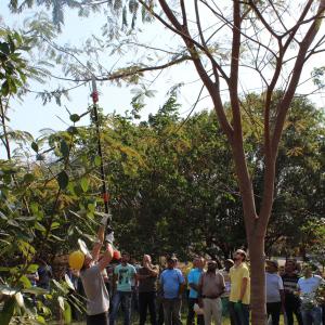 Imagem da notícia Secretaria de Meio Ambiente oferece Curso de Formação de Podadores - FOTOS