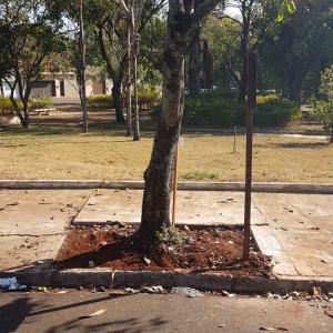 Imagem da notícia Prefeitura desenvolve projetos voltados ao meio ambiente