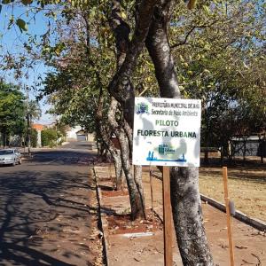 Imagem da notícia Prefeitura desenvolve projetos voltados ao meio ambiente
