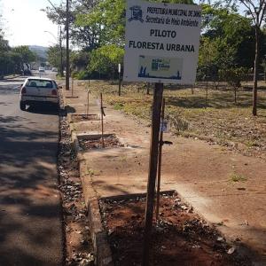 Imagem da notícia Prefeitura desenvolve projetos voltados ao meio ambiente