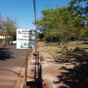 Imagem da notícia Prefeitura desenvolve projetos voltados ao meio ambiente