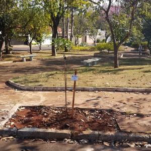 Imagem da notícia Prefeitura desenvolve projetos voltados ao meio ambiente