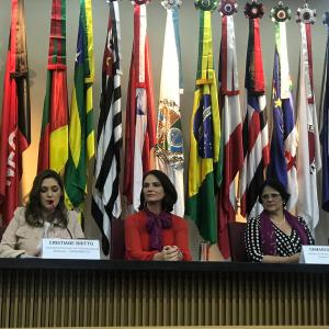 Imagem da notícia Secretaria de Políticas Públicas para Mulheres: implementação de Programa Federal em Jahu