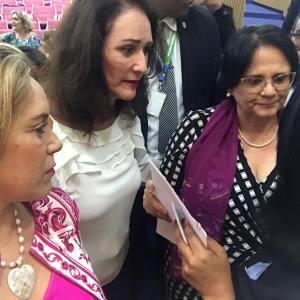 Imagem da notícia Secretaria de Políticas Públicas para Mulheres: implementação de Programa Federal em Jahu