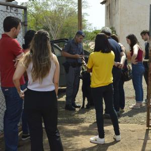 Imagem da notícia Secretaria de Proteção e Direitos dos Animais promove segunda campanha de adoção - FOTOS