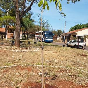 Imagem da notícia Prefeitura realiza plantio de árvores