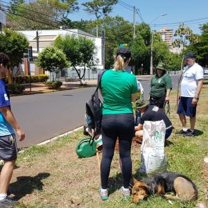 Imagem da notícia Prefeitura realiza plantio de árvores