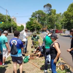 Imagem da notícia Prefeitura realiza plantio de árvores