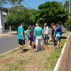 Imagem da notícia Prefeitura realiza plantio de árvores