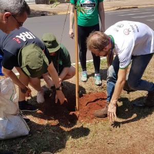 Imagem da notícia Prefeitura realiza plantio de árvores