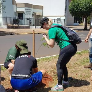 Imagem da notícia Prefeitura realiza plantio de árvores