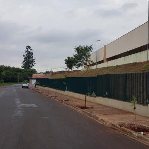 Imagem da notícia Prefeitura realiza plantio de árvores