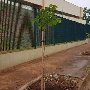 Imagem da notícia Prefeitura realiza plantio de árvores