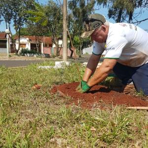 Imagem da notícia Prefeitura realiza plantio de árvores
