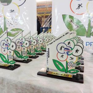 Imagem da notícia EMEF “Vereador Ângelo Ronchesel”: campeã dos “Jogos da Primavera” 2019