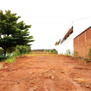 Imagem da notícia Secretaria de Meio Ambiente planta mais de 50 mudas no Jardim Carolina