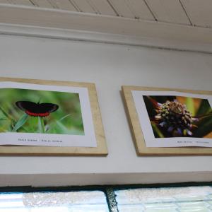 Imagem da notícia Exposição fotográfica permanente é realizada pela Secretaria de Meio Ambiente - FOTOS