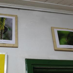 Imagem da notícia Exposição fotográfica permanente é realizada pela Secretaria de Meio Ambiente - FOTOS